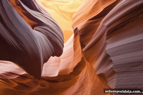米兰体育独家解读：真人荷官水果机的技术内核与CSGO竞猜的未来方向